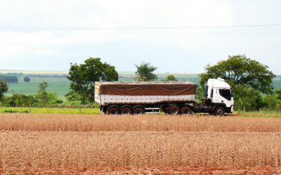 Desabastecimiento de combustible: efectos del faltante de gasoil