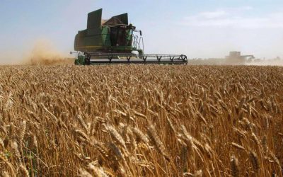 “Estamos trabajando en defensa de los productores para tener acceso al crédito y menos retenciones”