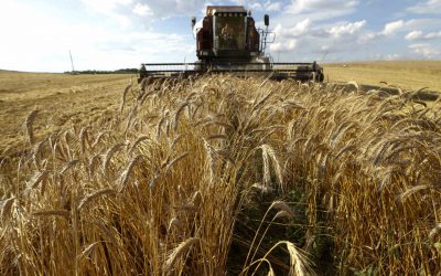 ¿Cuánto campo hay en tu vida?
