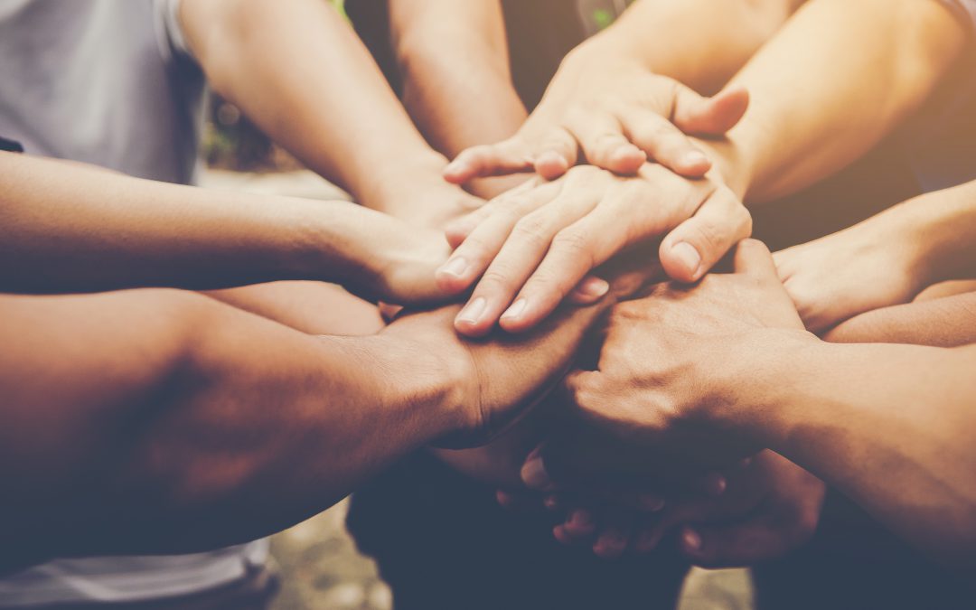 Mapa interactivo con las cooperativas del agro de todo el país