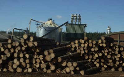 Sobre la ayuda a la cadena foresto industrial