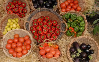 CONINAGRO APOYA EL PROYECTO ARGENTINA EXPORTA