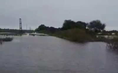 Chaco necesita medidas urgentes