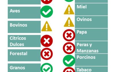 Más de la mitad de nuestras actividades en rojo y en amarillo.