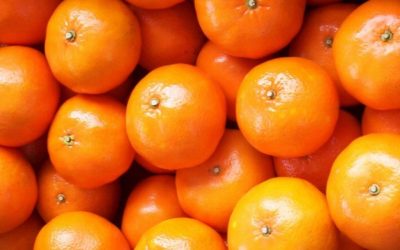 En 13 economías regionales los precios al productor no alcanzan a la inflación interanual acumulada