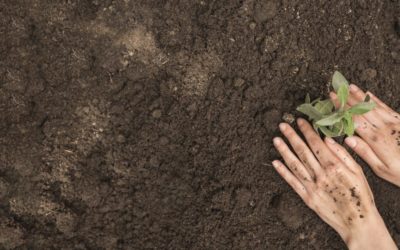 Ante el desafío de generar confianza