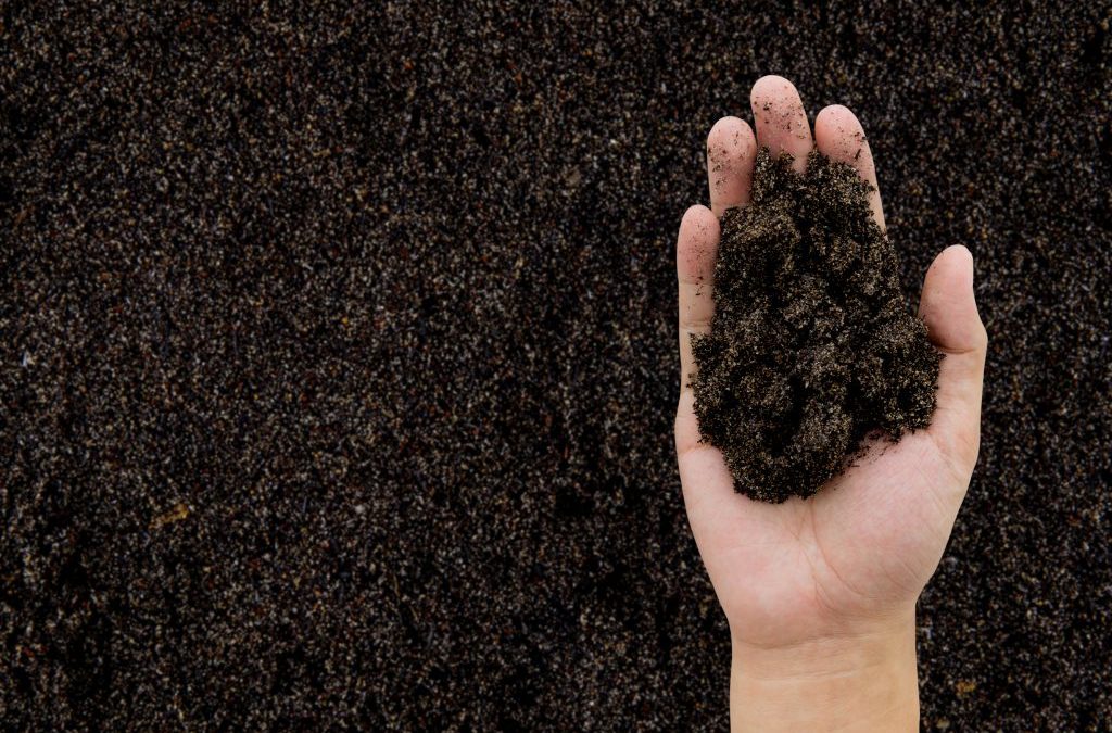 Continúa el programa de microcréditos: visita a cooperativas de Chaco