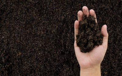 Continúa el programa de microcréditos: visita a cooperativas de Chaco