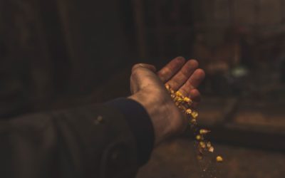 Economías Regionales, eje de una Argentina sin hambre