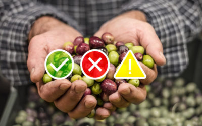 Nuevo semáforo de las Economías Productivas