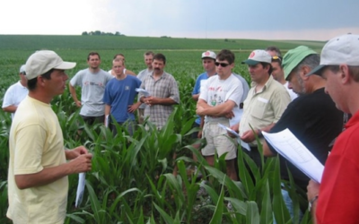 Agricultores Federados Argentinos se ubica entre las cooperativas más importantes del continente