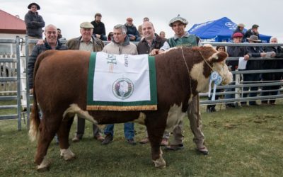 Se llevó a cabo una Jornada Ganadera en Tierra del Fuego: “Somos una entidad de propuesta más que de protesta”