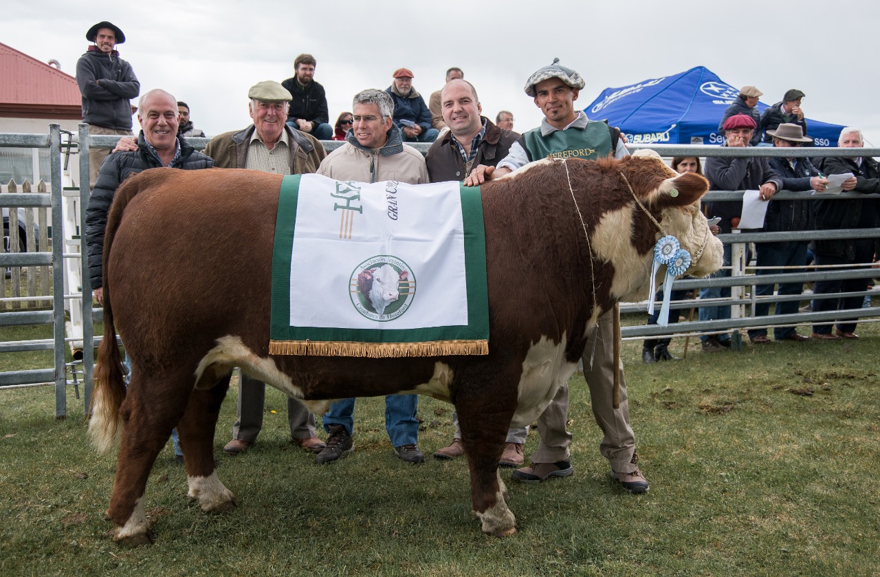 WhatsApp Image 2020-06-23 at 10.58.08 (1)