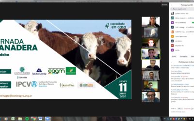 La ganadería corta transversalmente todos los climas y las regiones del país