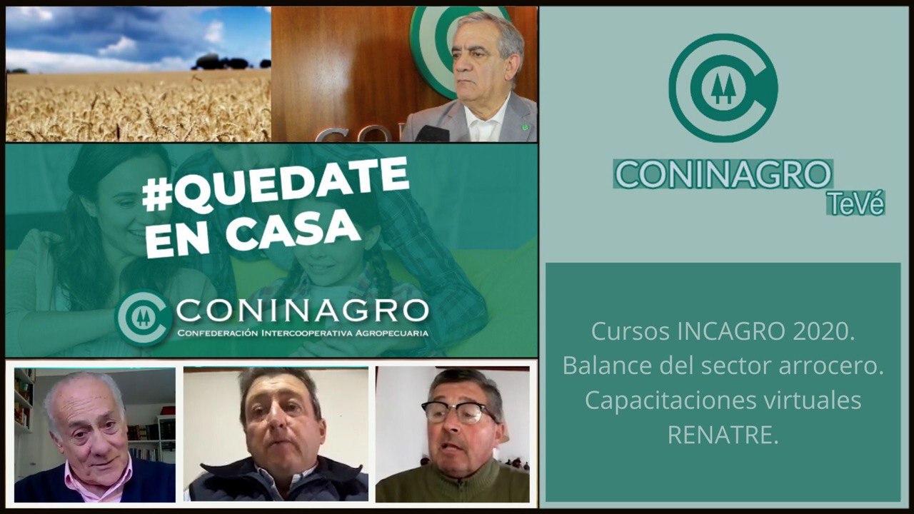 photo5179213299340912807