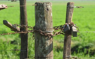 Preocupa la inseguridad rural en Misiones