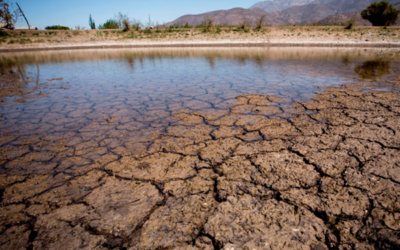 Alerta en las economías regionales: estudio de Coninagro refleja que se encuentran en estado de crisis y advertencia