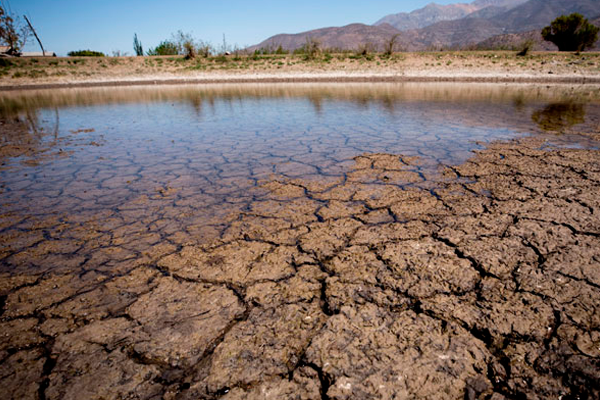 Productores cooperativos en alerta por la sequía en ArgentinaPreocupación en economías regionales ante la falta de agua