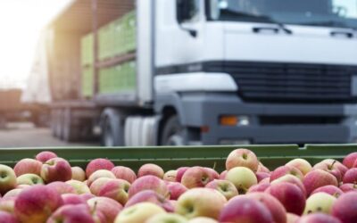 Desafíos para optimizar el desempeño logístico de Argentina, que ocupa el puesto 61° en el mundo