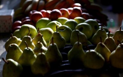 Qué impacto tienen las economías regionales en las agroexportaciones