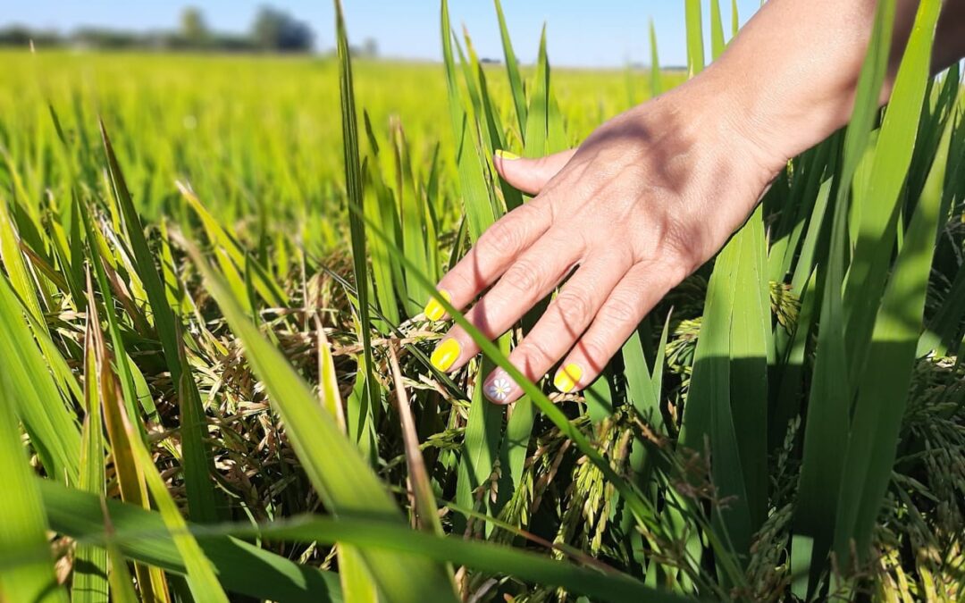 Se hace camino al andar