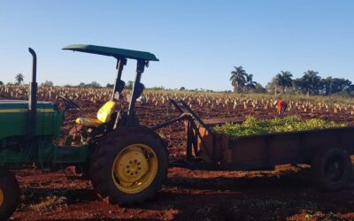 Coninagro reclamó al Banco Nación que mantengan las líneas de crédito vigentes para la compra de maquinaria