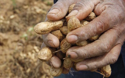 Informe técnico: nuevo semáforo de economías regionales