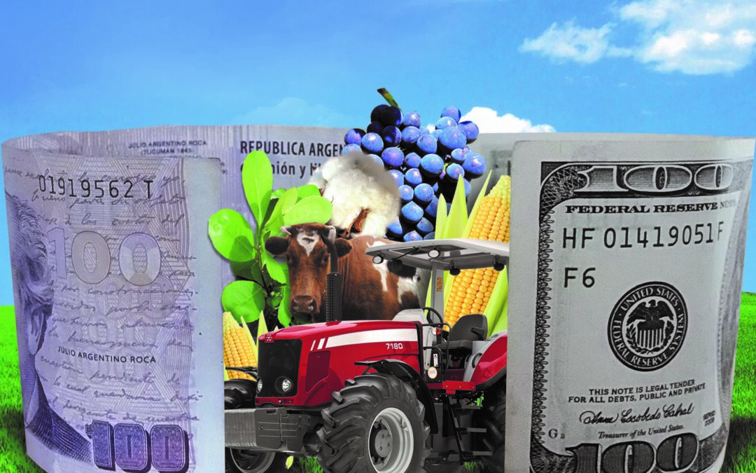 Argentina, uno de los 15 países más competitivos del mundo en agroexportacionesInforme especial