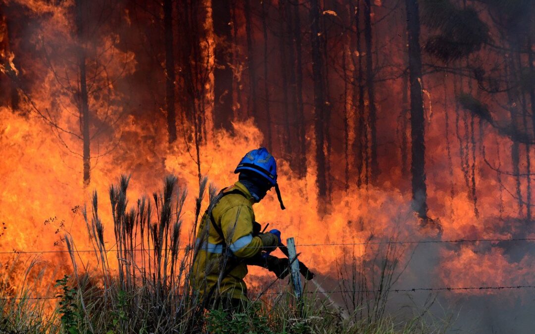 El drama de Corrientes en primera persona: perdió toda la producción de miel, pero en las mañanas rescata animales del fuego y a la tarde trabaja en una escuela