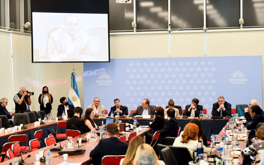 Iannizzotto en el Congreso: apoyó el acuerdo con el FMI pero reclamó que «le saquen el pie de encima a los productores»