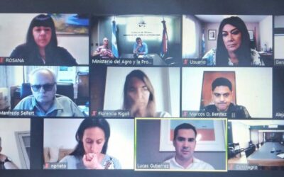 Reunión de dirigentes cooperativos con ministros provinciales de Misiones