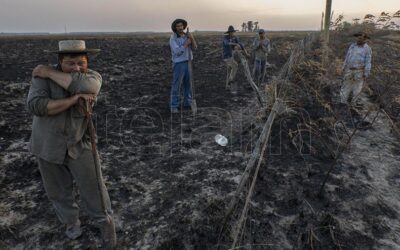 Volver a empezar tras la catástrofe agropecuaria: en Misiones productores deben estimar 400 mil pesos por hectárea para volver a plantar sus cultivos