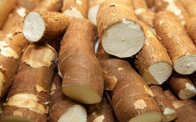 Compleja situación en las economías regionales: Altos costos y sequía