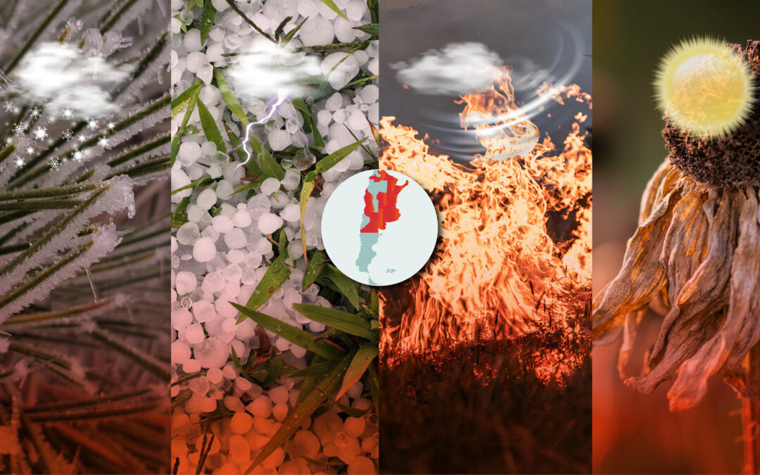 Productores cooperativos de todo el país esperan respuestas frente a un pronóstico complejo