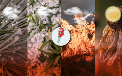 Productores cooperativos de todo el país esperan respuestas frente a un pronóstico complejo