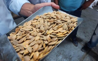 «Nuestra sensación es que no se abordan las causas sustanciales y de fondo», reflexionó Laucirica