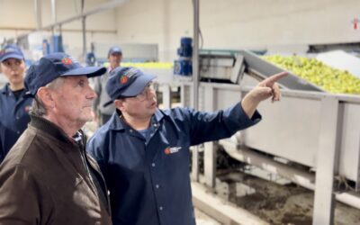 «El sector cooperativo es vanguardista en certificaciones para los nuevos mercados que demandan trazabilidad en alimentos»