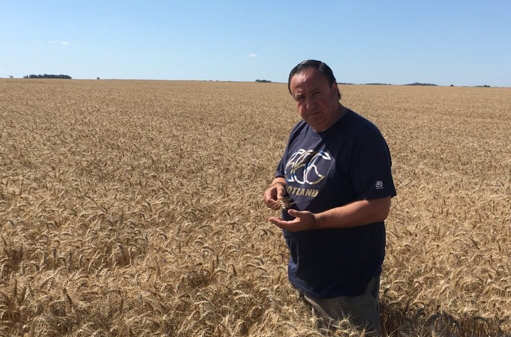 [VIDEO] ¿Cuántas variedades de papa se producen en Argentina?