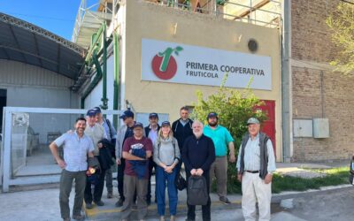 Primera cooperativa frutícola de Río Negro producirá evaluando la huella de carbono para mitigar el cambio climático
