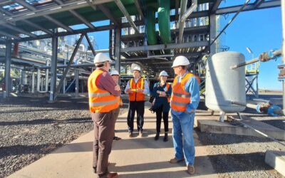 [VIDEO] Así es la producción sustentable de bioetanol