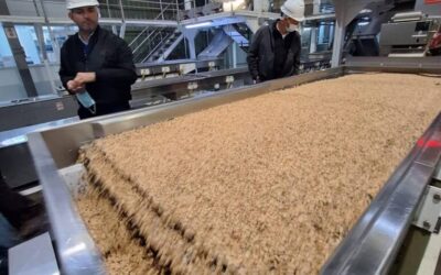 Informe técnico: nuevo semáforo de economías regionales