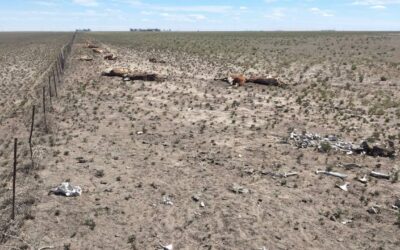 Se prolonga la sequía y hay zonas en alerta que registran mortandad de animales
