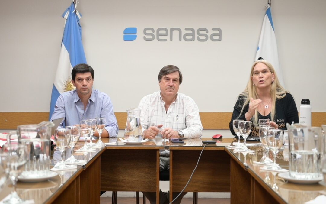 Virus en equinos genera preocupación en el sector y SENASA declaró emergencia sanitaria