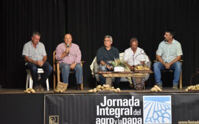 «De ninguna manera es necesario importar papa»