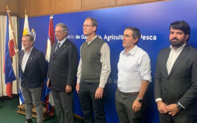 Se conformó la alianza de COOPSUR