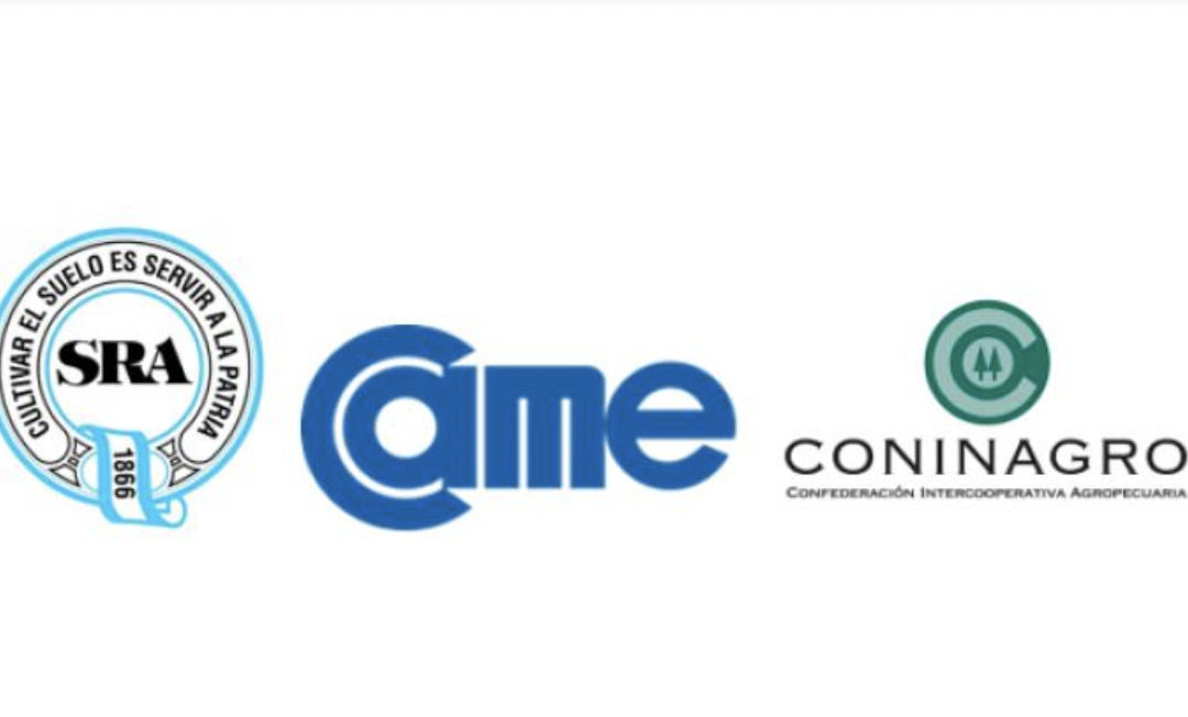 Ante la pasividad de la Justicia del Trabajo, recurrimos a la Corte Suprema