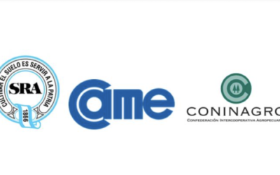 Ante la pasividad de la Justicia del Trabajo, recurrimos a la Corte Suprema