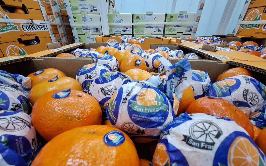 El sistema cooperativo se afianza con esfuerzo e inversión de los productores