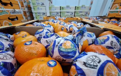 El sistema cooperativo se afianza con esfuerzo e inversión de los productores