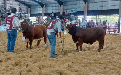 «Tenemos que terminar de bajar las retenciones que le quedan a la carne»